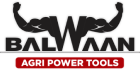Balwaan Logo